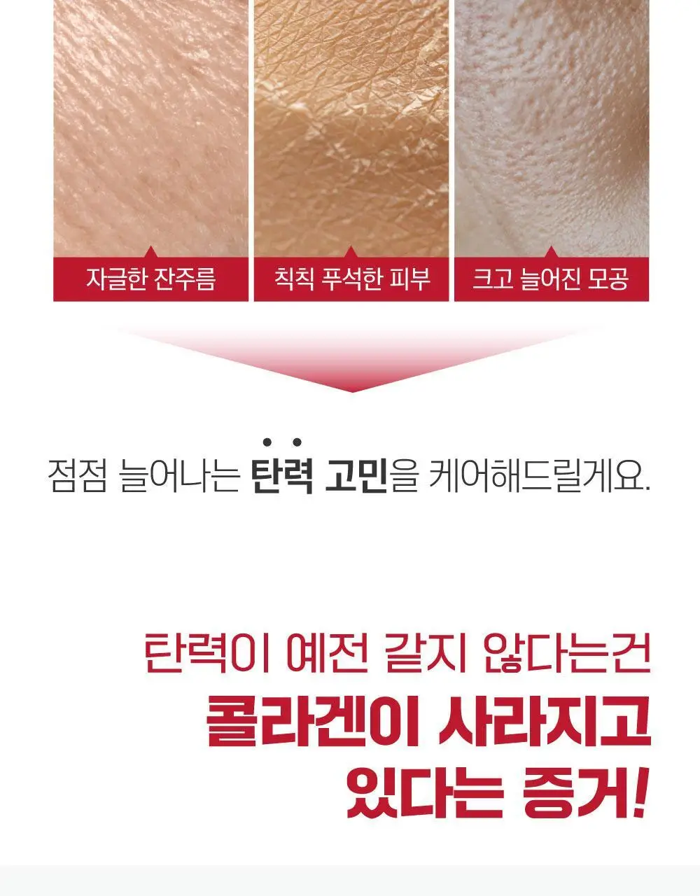 [볼륨탄력] 라운드랩 동백 딥 콜라겐 탄력 앰플 30ml 상세페이지 3